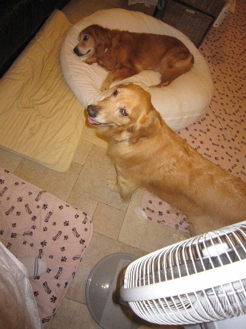 ファイル 1874-1.jpg