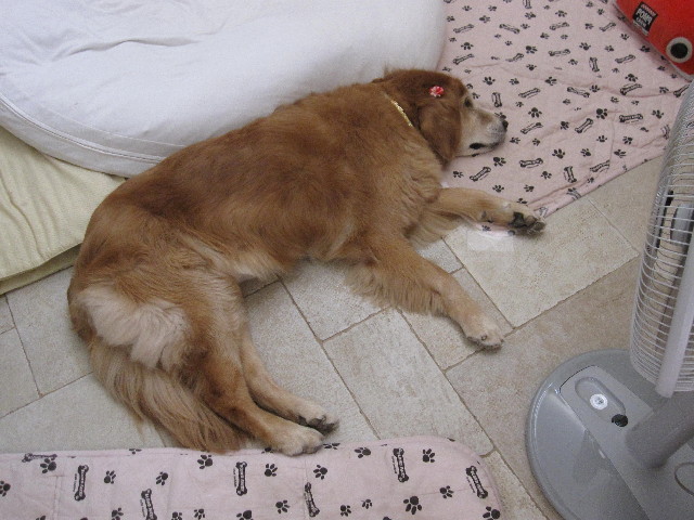 ファイル 1874-2.jpg