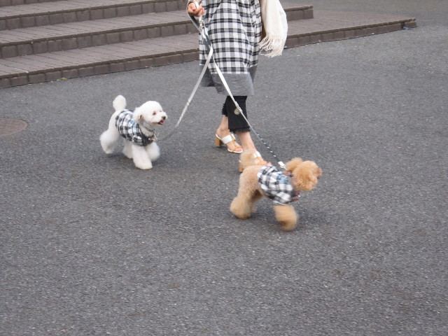 ファイル 1876-3.jpg