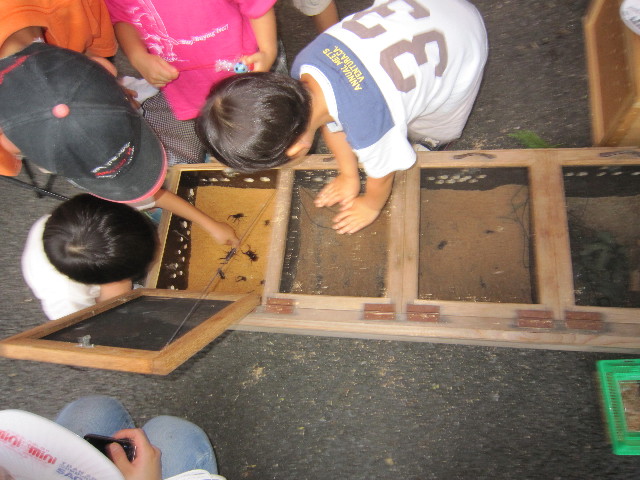 ファイル 1877-1.jpg