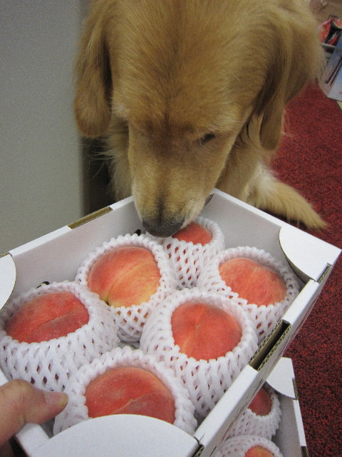 ファイル 1878-3.jpg