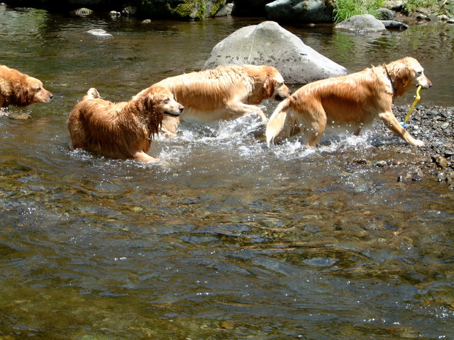 ファイル 188-1.jpg