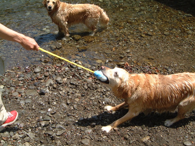 ファイル 188-3.jpg