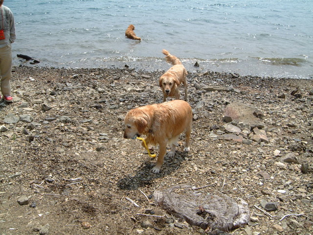 ファイル 188-4.jpg