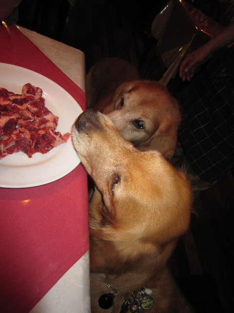 ファイル 1880-1.jpg