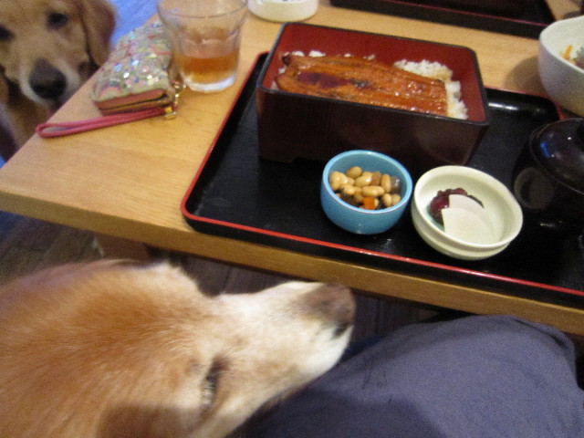 ファイル 1883-3.jpg