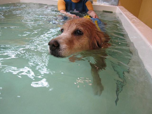 ファイル 1886-2.jpg