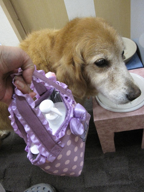 ファイル 1886-5.jpg