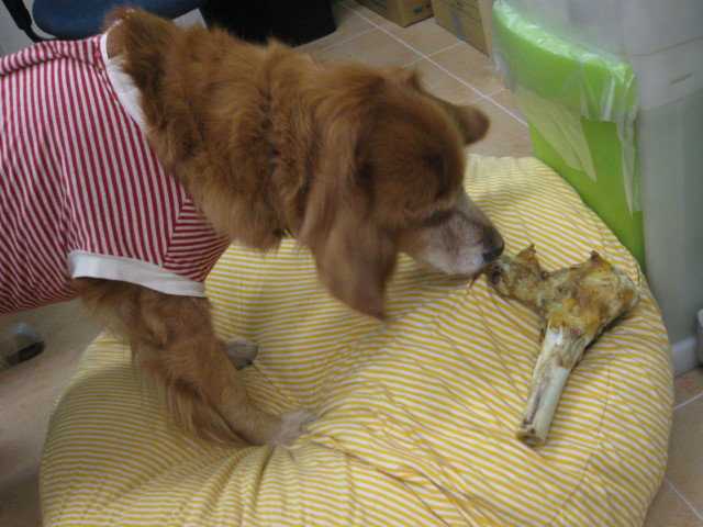 ファイル 189-1.jpg