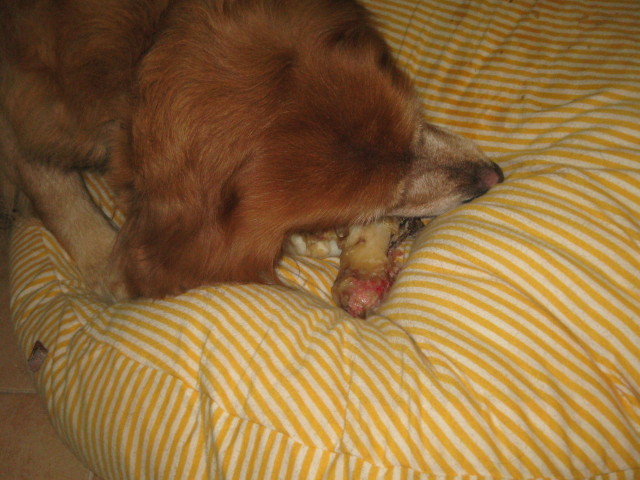 ファイル 189-2.jpg