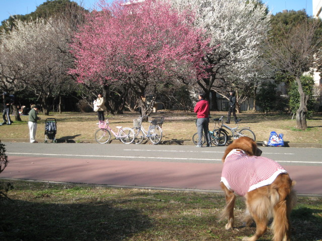 ファイル 189-4.jpg