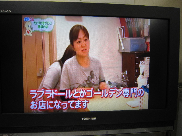 ファイル 1892-2.jpg