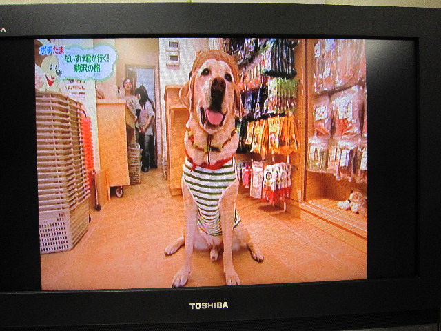 ファイル 1892-4.jpg