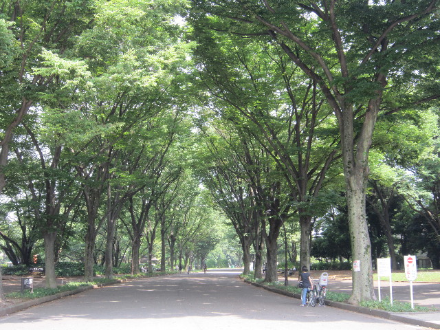 ファイル 1893-1.jpg