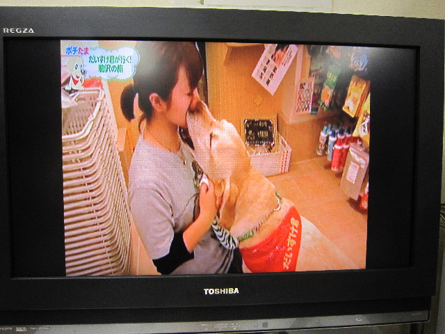 ファイル 1893-5.jpg