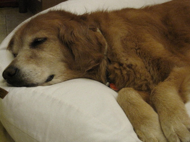 ファイル 1895-5.jpg