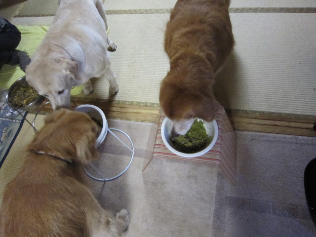 ファイル 1897-1.jpg