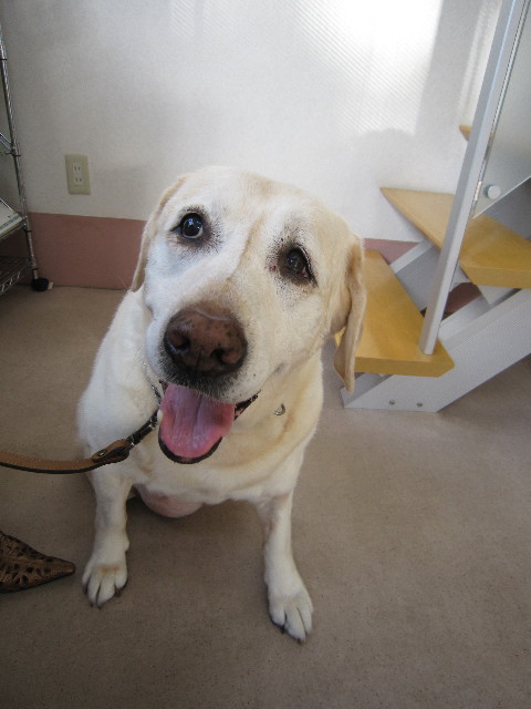 ファイル 1897-2.jpg