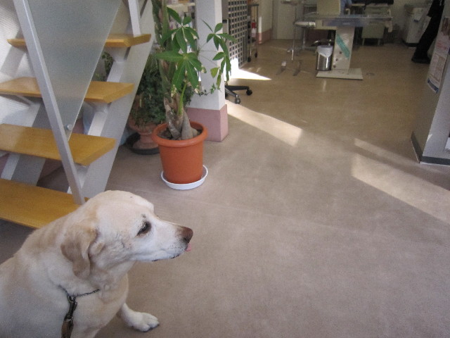 ファイル 1897-3.jpg