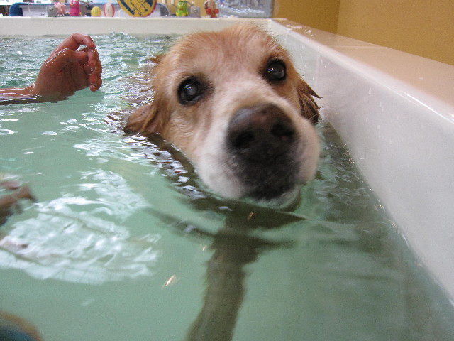 ファイル 1898-2.jpg