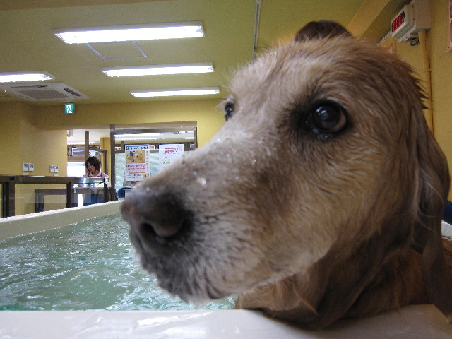 ファイル 1898-5.jpg