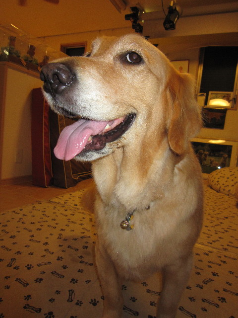 ファイル 1899-3.jpg