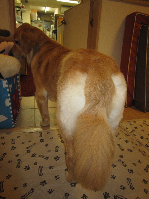 ファイル 1899-4.jpg