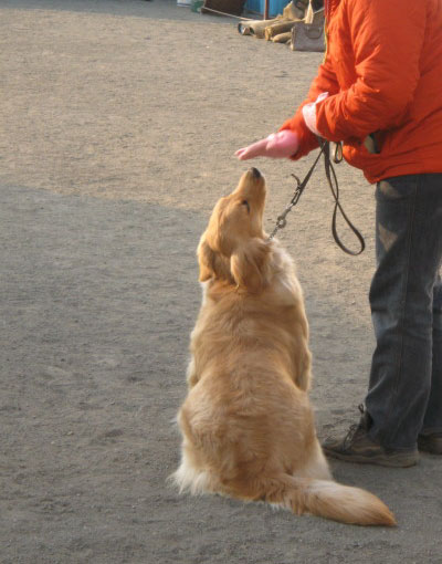 ファイル 190-1.jpg