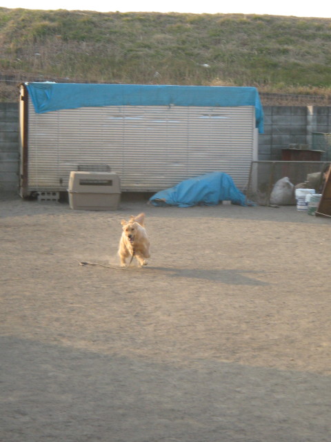 ファイル 190-4.jpg