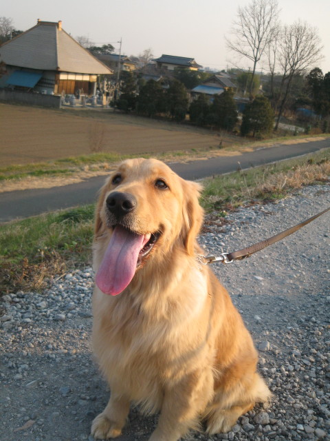 ファイル 190-5.jpg