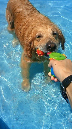 ファイル 1900-4.jpg