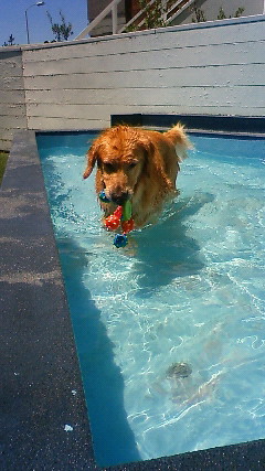 ファイル 1900-5.jpg