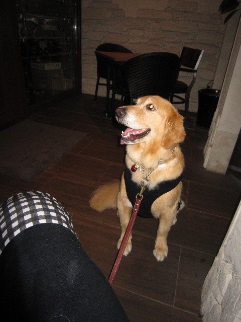 ファイル 1901-2.jpg