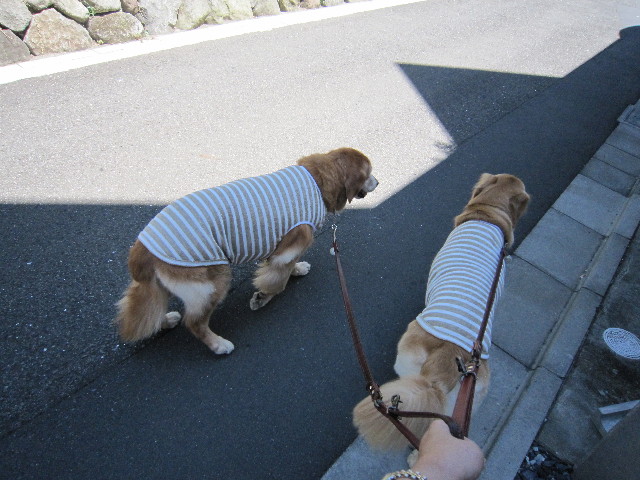 ファイル 1903-5.jpg