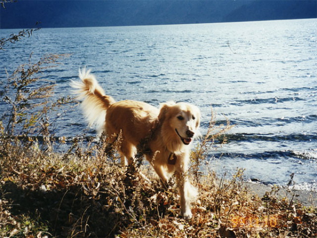 ファイル 1907-2.jpg