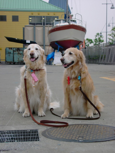 ファイル 1908-5.jpg