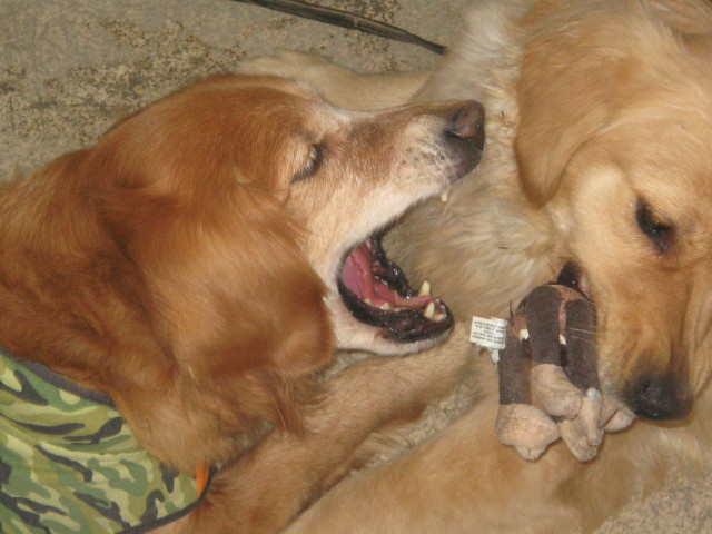 ファイル 191-1.jpg