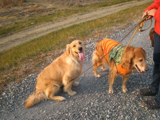 ファイル 191-4.jpg