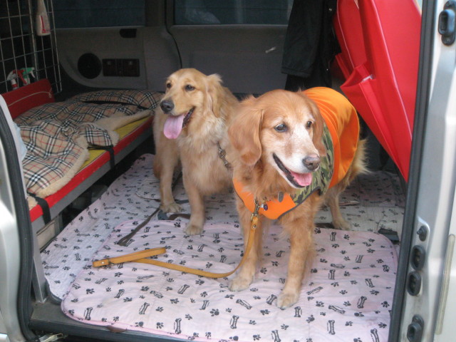 ファイル 191-5.jpg