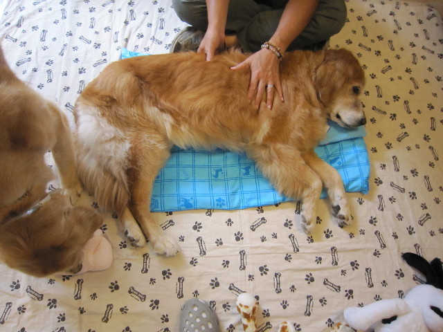 ファイル 1910-1.jpg