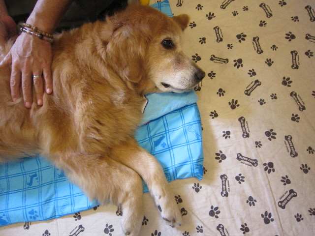 ファイル 1910-2.jpg