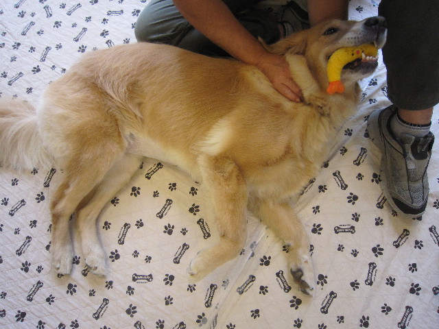 ファイル 1910-4.jpg