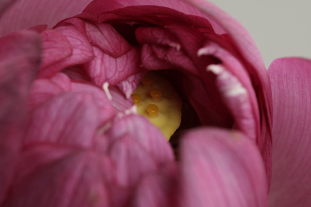 ファイル 1912-3.jpg