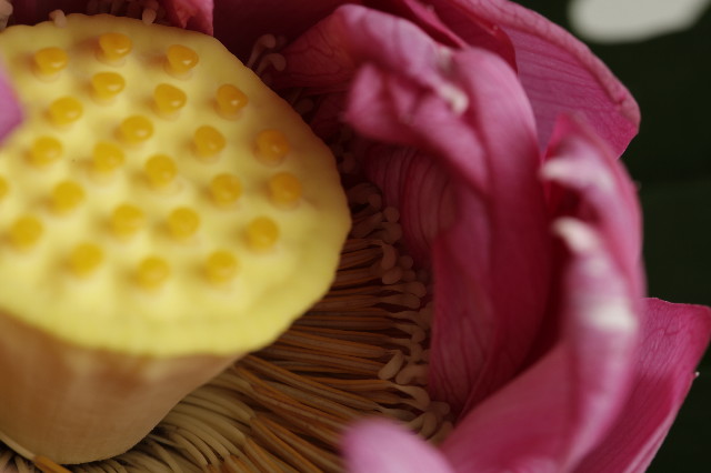 ファイル 1912-4.jpg