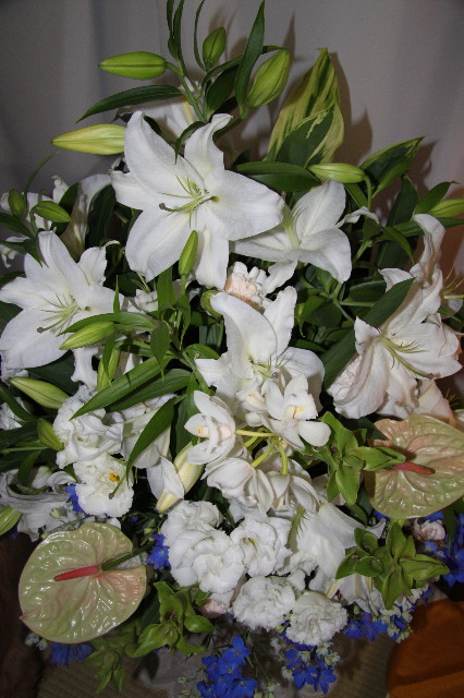 ファイル 1913-1.jpg