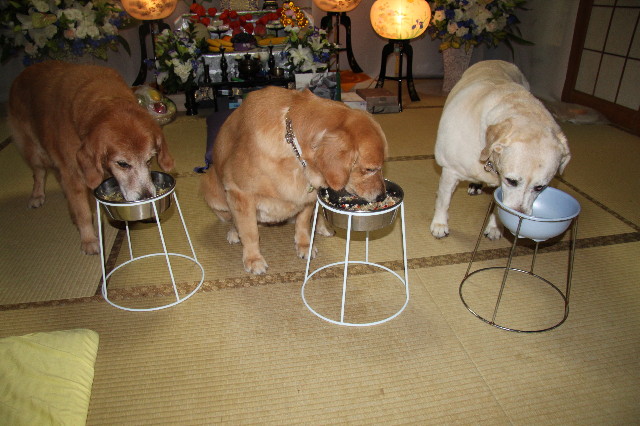 ファイル 1913-2.jpg