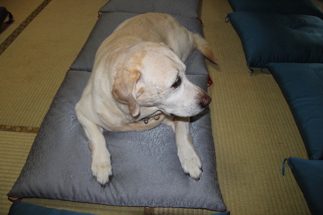 ファイル 1913-3.jpg