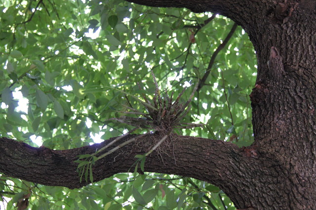 ファイル 1913-5.jpg