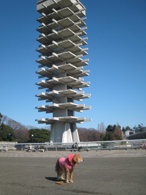 ファイル 192-1.jpg