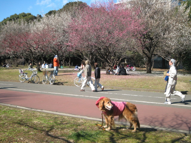 ファイル 192-2.jpg